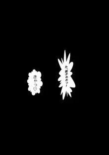 弟が豹変した日, 日本語