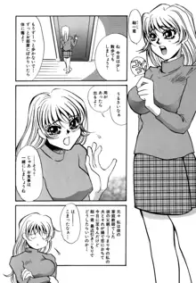 人妻婚外恋愛 －したいの－, 日本語