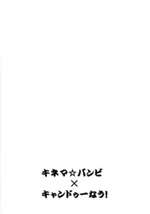 ハヤテ一本釣り, 日本語