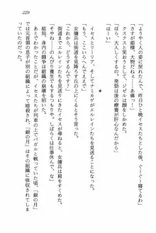 ライトニング・サーガII 女傭兵の空, 日本語