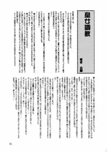 LeLeぱっぱ Vol.14 めぐみるく, 日本語