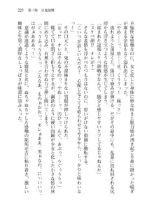 目覚めると拳銃乙女を護る美少女拳士になっていた, 日本語