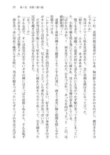 目覚めると拳銃乙女を護る美少女拳士になっていた, 日本語