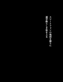 私立性交女子学園 性交祭2015, 日本語