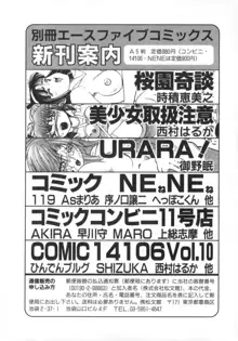 気分はビビデバビデブ, 日本語