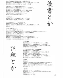 射命丸文との同棲生活, 日本語