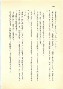 光と闇のサーガ 魔城伝説, 日本語