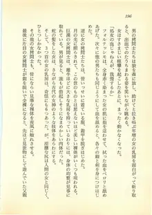 光と闇のサーガ 魔城伝説, 日本語