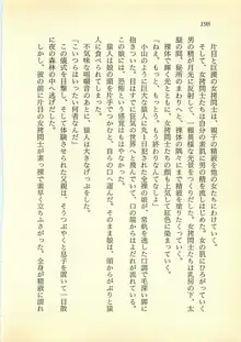 光と闇のサーガ 魔城伝説, 日本語