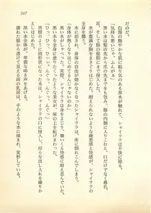 光と闇のサーガ 魔城伝説, 日本語