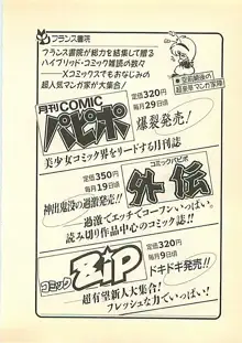 光と闇のサーガ 魔城伝説, 日本語