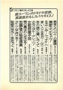 光と闇のサーガ 魔城伝説, 日本語