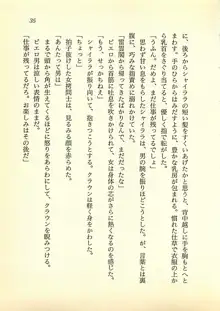 光と闇のサーガ 魔城伝説, 日本語