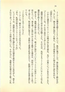 光と闇のサーガ 魔城伝説, 日本語