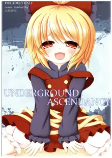 UNDERGROUND ASCENDANCY, 日本語