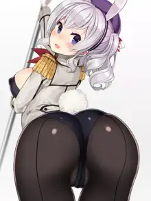 T Toku no Yabou Vol.14 ~Bunny Kashima Hen~ (Kantai Collection -KanColle-) (Individual GIF Animated Frame) 1 of 3, 日本語