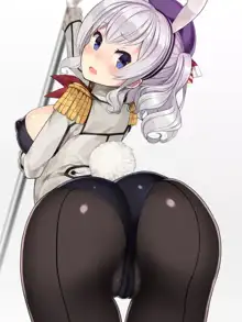 T Toku no Yabou Vol.14 ~Bunny Kashima Hen~ (Kantai Collection -KanColle-) (Individual GIF Animated Frame) 1 of 3, 日本語