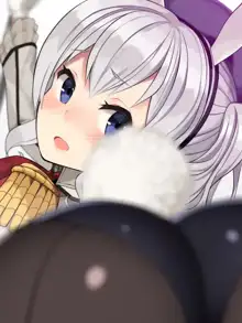 T Toku no Yabou Vol.14 ~Bunny Kashima Hen~ (Kantai Collection -KanColle-) (Individual GIF Animated Frame) 1 of 3, 日本語