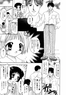 ハチミツ入りのひみつ, 日本語