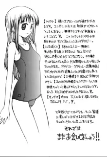 生ハメ制服系, 日本語