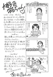 着ぐるみ戦隊キルティアン, 日本語