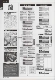 御魂～忍～×ARCANA～光と闇のエクスタシス～二作品原画, 日本語