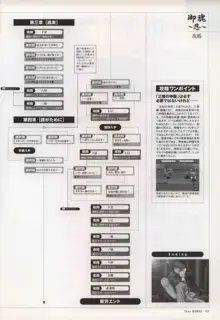 御魂～忍～×ARCANA～光と闇のエクスタシス～二作品原画, 日本語