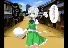 東方催眠淫魔境～霊萃妖～, 日本語