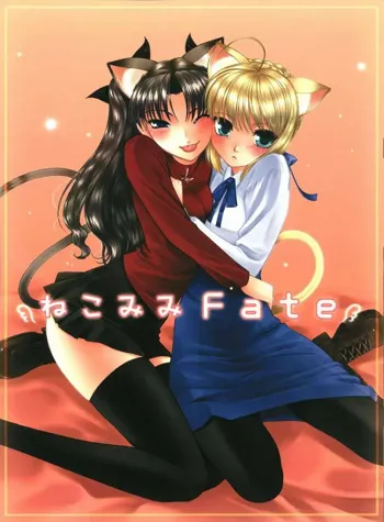 ねこみみFate, 日本語