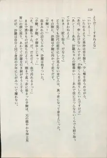 トレジャーハンター沙羅 禁断の魔淫玉, 日本語