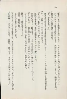 トレジャーハンター沙羅 禁断の魔淫玉, 日本語