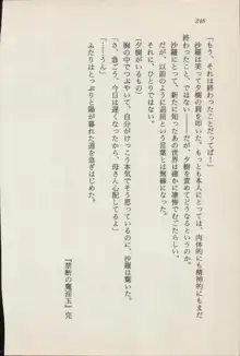 トレジャーハンター沙羅 禁断の魔淫玉, 日本語