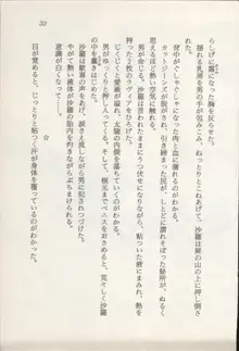 トレジャーハンター沙羅 禁断の魔淫玉, 日本語