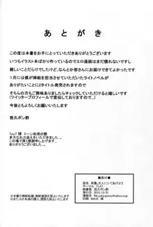 莉嘉、大人にシてあげよう, 日本語