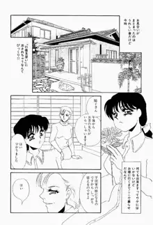 異端の快楽 第2巻, 日本語