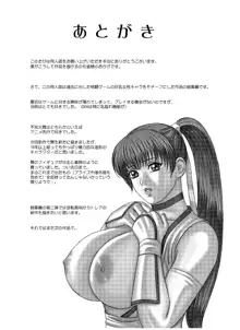 Busty Game Gals Collection vol.01, 日本語