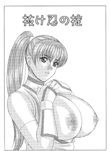 Busty Game Gals Collection vol.01, 日本語