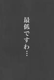 少年提督が大人になるまで…, 日本語