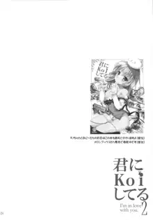 君にkoiしてる2, 日本語