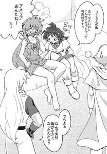 SLAYERS ADULT 9, 日本語