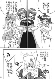 SLAYERS ADULT 9, 日本語