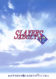 SLAYERS ADULT 12, 日本語