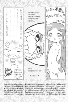 貧乳娘 Vol.10, 日本語