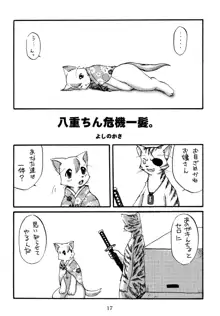 うらねこ。, 日本語