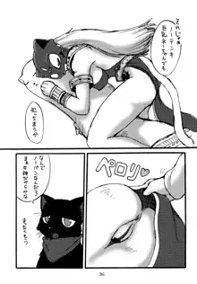 うらねこ。, 日本語