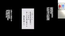 子宮に種いっぱい!未来のための種集め, 日本語