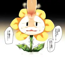 金色のお花ちゃん, 日本語