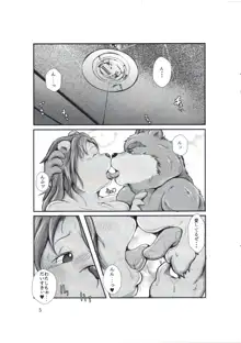 Newlyweds Bears, 日本語