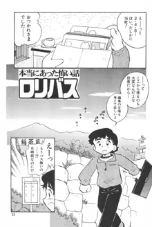 貧乳戦略, 日本語