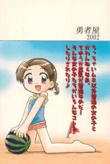 貧乳戦略, 日本語